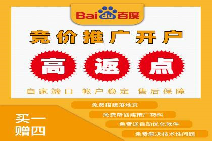 竞价推广实战：经典案例深度解析